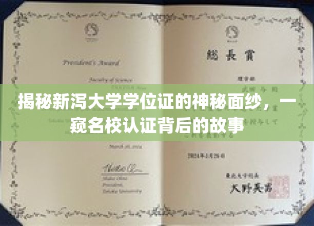 解码新泻大学学位证，名校认证背后的传奇揭秘